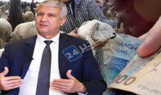 وزير الفلاحة يوضح خطة المغرب لضمان أضاحي عيد الأضحى بأسعار معقولة