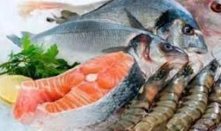 نرصد أسعار الأسماك بسوق العبور اليوماليوم الثلاثاء، 30 أبريل 2024 12:18 مـ   منذ 5 دقائق