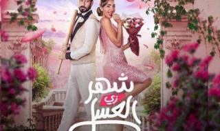 مي العيدان تنتقد فيلم شهر زي العسل: صنع لخدمة نور الغندور