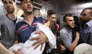 ارتفاع ضحايا العدوان الإسرائيلي على غزة إلى 34535 شهيدااليوم الثلاثاء، 30 أبريل 2024 12:28 مـ   منذ 59 دقيقة