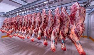 أسعار اللحوم الحمراء فى الاسواق اليوم الأربعاءاليوم الأربعاء، 1 مايو 2024 09:09 صـ   منذ 14 دقيقة