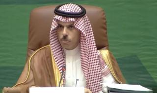 وزير الخارجية: السعودية تؤكد ضرورة إعادة هيكلة «التعاون الإسلامي» وتطويرها