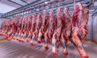 مهنيون يتوقعون استمرار “الغلاء” في أسعار اللحوم، ومواطنون يلوحون بالمقاطعة