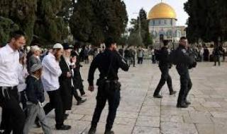 مستوطنون يقتحمون المسجد الأقصى بحماية شرطة الاحتلال الإسرائيلىاليوم الأربعاء، 8 مايو 2024 12:13 مـ   منذ 10 دقائق