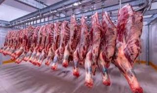 أسعار اللحوم الحمراء فى الاسواق اليوم الاربعاءاليوم الأربعاء، 8 مايو 2024 12:09 مـ   منذ 14 دقيقة