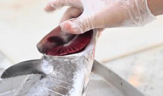 «بيئة جازان» تنفذ 3228 جولة رقابية على أسواق الأسماك والمنتجات البحرية