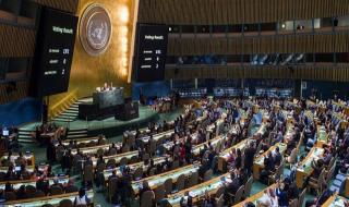فلسطين تحرز تقدمًا هامًا في الأمم المتحدة: الجمعية العامة تُصوّت لصالح عضوية كاملة