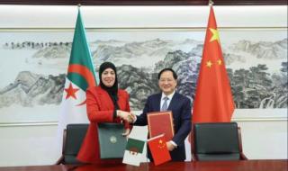 الجزائر والصين يتعاونان في مجال الرقمنة