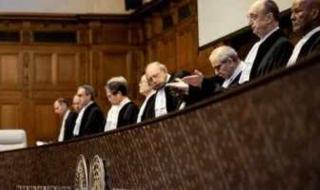 ممثل جنوب أفريقيا بمحكمة العدل: نرحب بانضمام مصر فى الدعوى ضد إسرائيل