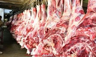 التموين تطرح 40 طن من اللحوم الطازجة بمنافذ المجمعات الاستهلاكية يوميًااليوم الجمعة، 24 مايو 2024 10:08 صـ