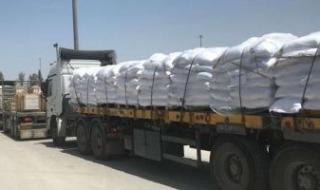 مراسل "إكسترا نيوز": استئناف إرسال شاحنات المساعدات إلى غزة بفضل جهود مصر