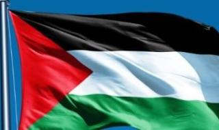 خبراء من الأمم المتحدة يدعون بلدان العالم للاعتراف بدولة فلسطين لإحلال السلام