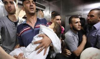 ارتفاع عدد ضحايا العدوان على غزة لـ36479 شهيدا و82777 مصابا منذ 7...اليوم الإثنين، 3 يونيو 2024 02:18 مـ   منذ 18 دقيقة