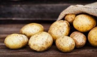 طرح البطاطس بـ 5 جنيهات للكيلو بمعرض خير مزارعنا لأهالينا فى الدقى