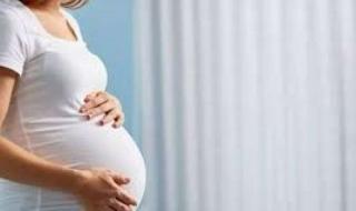 الصحة تحذر: إهمال زيارات الحمل قد يهدد حياة الأم والجنينسيدة حاملاليوم الثلاثاء، 4 يونيو 2024 10:23 صـ   منذ 6 دقائق