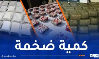 جمارك: حجز 3352 كلغ من "الكيف" وأكثر من 8 مليون قرص مهلوس و295 كلغ من الكوكايين