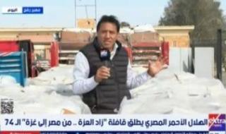 مصر توزع مليون كرتونة إغاثية داخل غزة عبر اللجنة المصرية العاملة بالقطاع