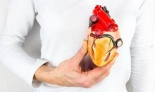 جراح
أوعية
دموية
يكشف
سبب
انسداد
الشرايين
السليمة..
ويحذر
من
5
أعراض