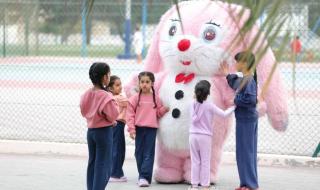 الدمى
      تُبهج
      أطفال
      دبا
      الحصن