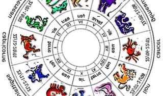 أبراج
اليوم
الثلاثاء
23
ديسمبر
2025
العامة
في
الحب
والعمل
والصحة