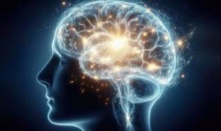 أهم
3
ابتكارات
تكنولوجية
غيرت
قواعد
اللعبة
خلال
2025..
الذهب
الرقمى
الأبرز