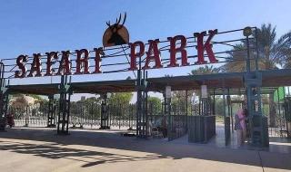 سفاري
بارك
امبابة