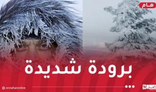 موجة
برد
قارس
يومي
الأربعاء
والخميس
بهذه
الولايات!