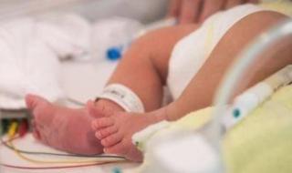 سيدة
تتهم
مستشفى
بالإهمال
الطبى
بعد
وفاة
رضيعها
فى
الهرم