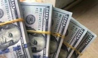 ضبط
قضايا
اتجار
غير
مشروع
في
العملات
الأجنبية
بقيمة
تتجاوز
3
ملايين
جنيه