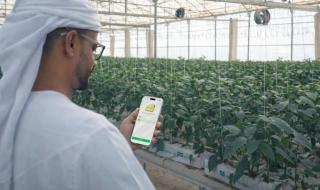 «إن
      آر
      تي
      سي»
      تطلق
      منصة
      «مزرعتي»
      الرقمية
      الأولى
      من
      نوعها