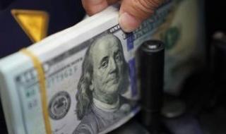 سعر
الدولار
اليوم
الخميس
5-2-2026
أمام
الجنيه
المصرى