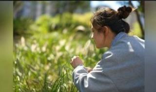 جامعة
الشرق
الأقصى
الروسية
تطور
ذكاء
اصطناعيا
قادرا
على
استشعار
الروائح