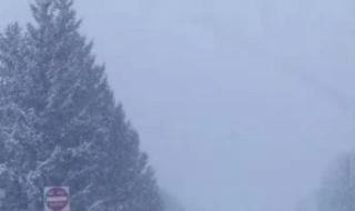 خسائر بشرية ومادية كبيرة تضرب إسبانيا والبرتغال جراء العاصفة "مارتا"