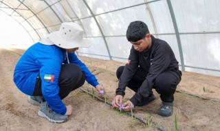 «من
      هنا
      البداية»..
      40
      عاماً
      من
      الإبداع
      وبناء
      الإنسان