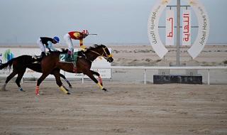 ميدان
    فروسية
    الجبيل
    يختتم
    موسم
    سباقات
    الخيل
    لعام
    1447هـ