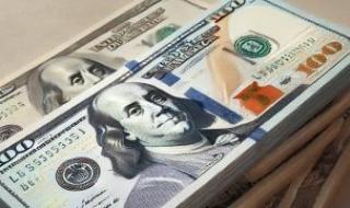 استقرار سعر الأخضر مقابل الجنيه اليوم السبت فى البنوك