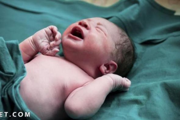 تفسير حلم الولادة للعزباء بدون طفل لكبار المفسرين والأئمة