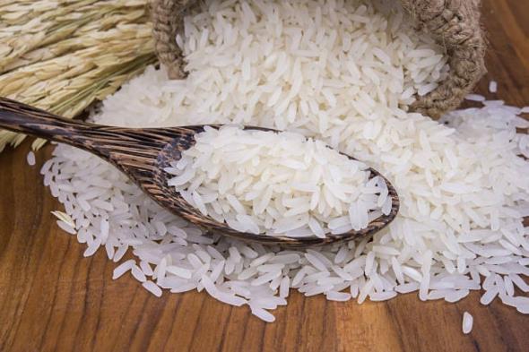 خبراء: محصول الأرز في المملكة متوفر بأسعار مناسبة