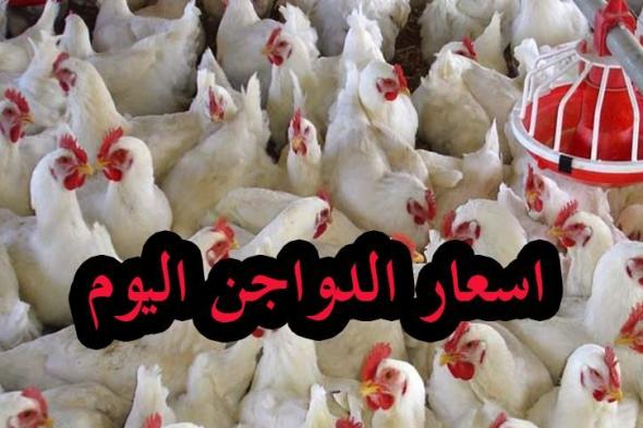 سعر كيلو الفراخ البيضاء اليوم – بورصة الدواجن