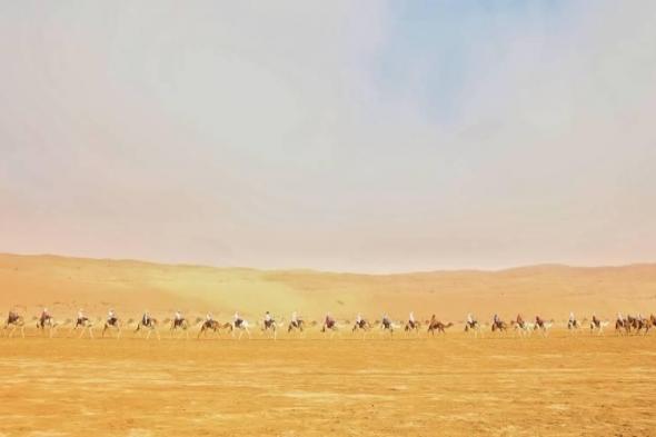 قافلة رحلة الهجن تحط رحالها في دبي بعد 12 يوماً في صحراء الإمارات