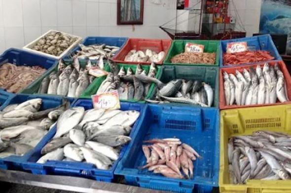مشاورات لتصدير المنتجات السمكية الجزائرية الى إيطاليا وأوروبا