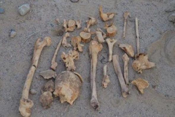 تارودانت : العثور على عظام بشرية بورش للبناء يستنفر المصالح الأمنية
