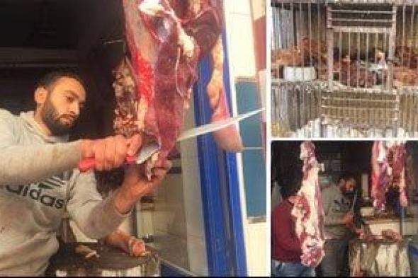 الشركة المصرية للحوم: وصول 5 ألاف رأس ماشية من جيبوتى واللحوم متوفرة خلال رمضان