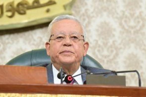 رئيس مجلس النواب: ندعم الحكومة فى إجراءات تحسين الاقتصاد المصرى