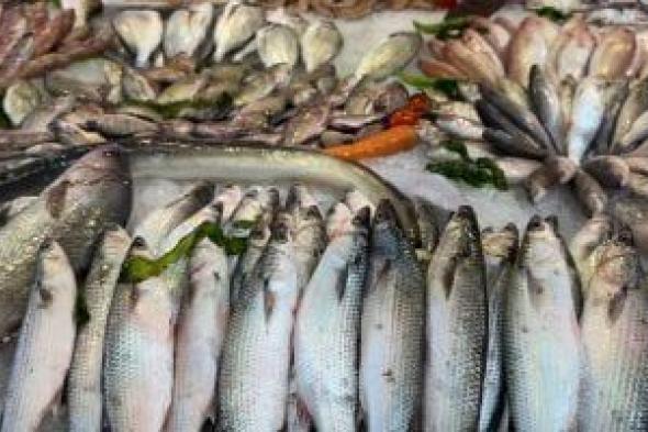 أنواع الأسماك بسوق بورسعيد الحضارى في ثالث أيام شهر رمضان.. فيديو وصور