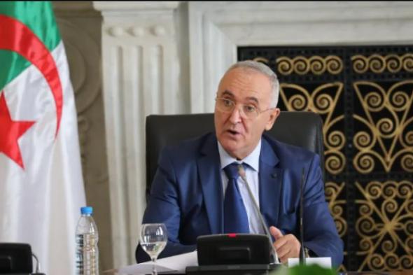 وزير المالية: إطلاق خدمة بوابة "فضاء الجزائر" و"طلب الدفتر العقاري" قريبا