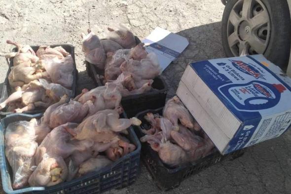 حجز 138 كلغ من الدجاج فاسد بسوق أهراس