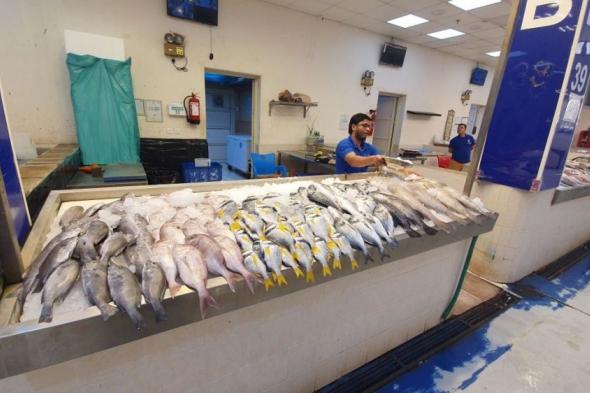 تراجع أسعار الأسماك وارتفاع الدواجن.. و«المجمد المحلي» ينخفض 0.1%