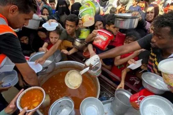اليونيسيف: غزة على شفا مجاعة قد تودي بحياة آلاف الأطفالاليوم السبت، 16 مارس 2024 10:32 مـ   منذ 59 دقيقة