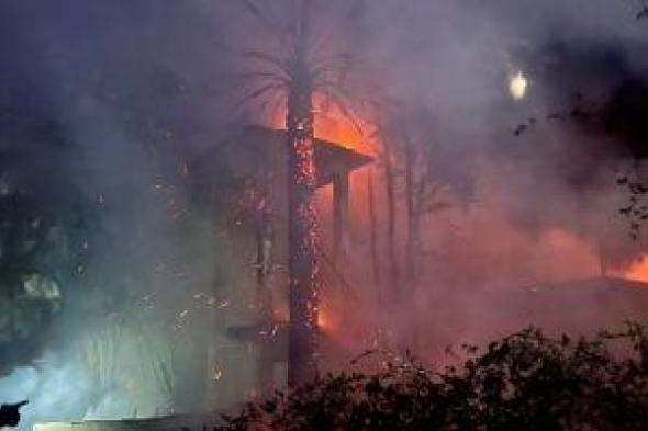 السيطرة على حريق نشب في أشجار داخل إدارة القنطرة غرب الزراعية.. صور